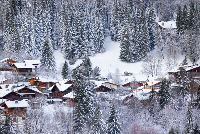 Nature Trail and Fox Watching - snowshoe trail_Morzine