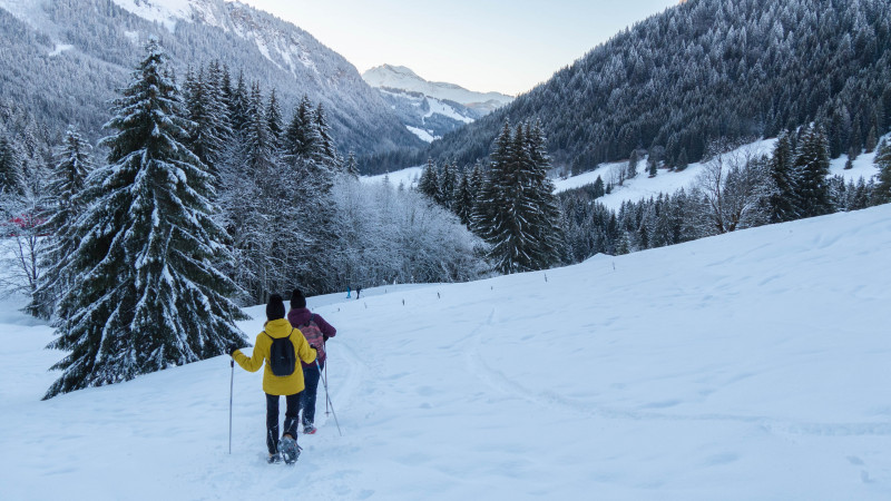Sentier raquette lac des mines d'or