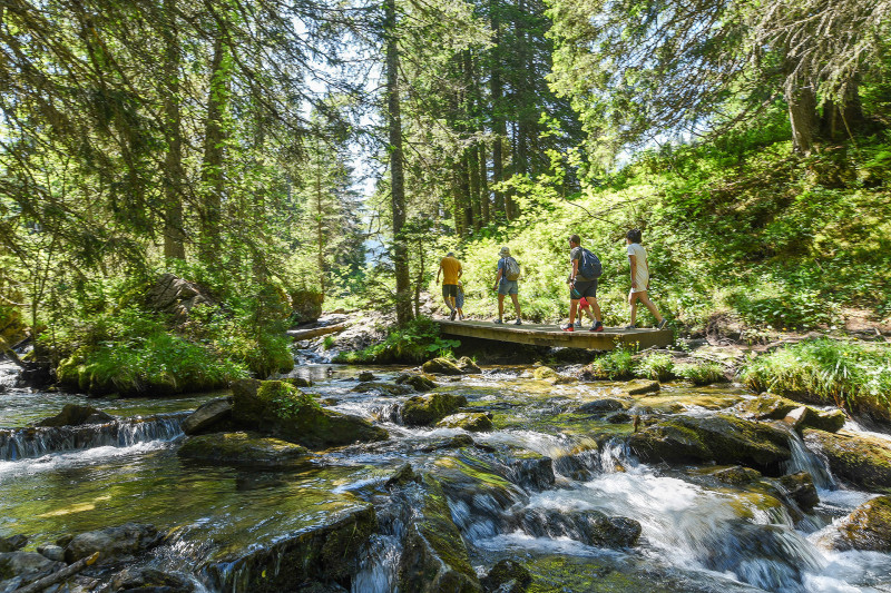 Des Lindarets à la Cascade des Brochaux - © Yvan Tisseyre / OT Vallée d'Aulps Des Lindarets à la Cascade des Brochaux