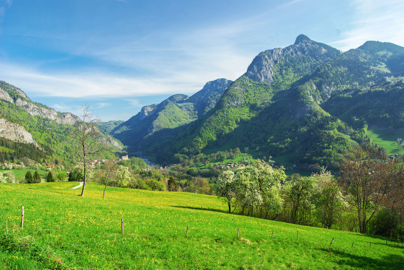 Nant de la Scie - © Yvan Tisseyre/OT Vallée d'Aulps Nant de la Scie