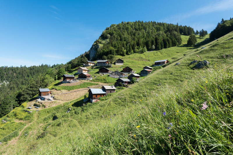 Montée de Tréchauffé - © Yvan Tisseyre/OT Vallée d'Aulps Montée de Tréchauffé