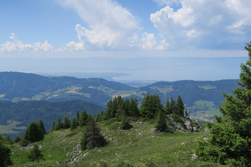 Vue Léman depuis la Pointe d'Ireuse Vue Léman depuis la Pointe d'Ireuse