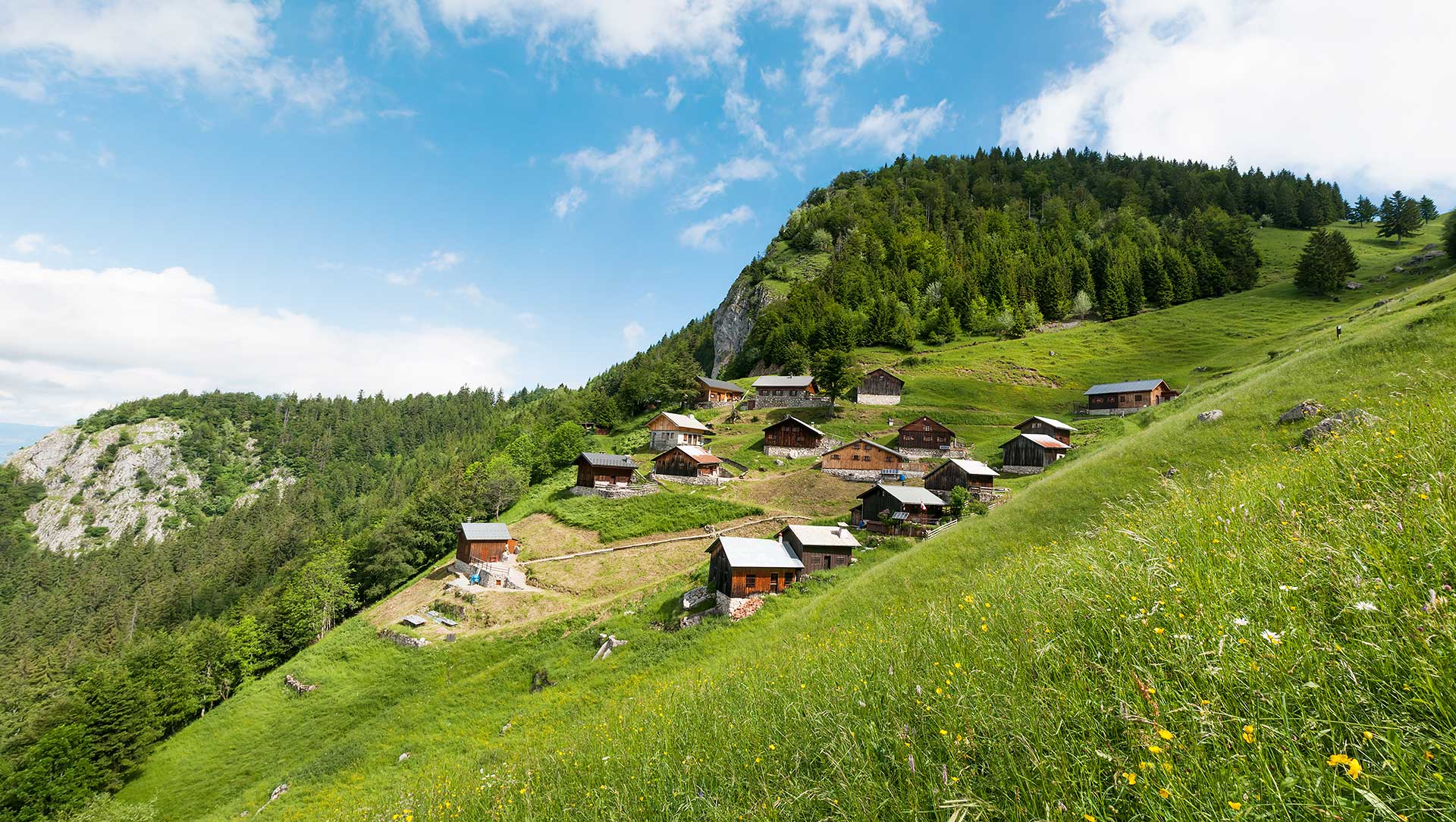 Tréchauffé Alpine Pasture