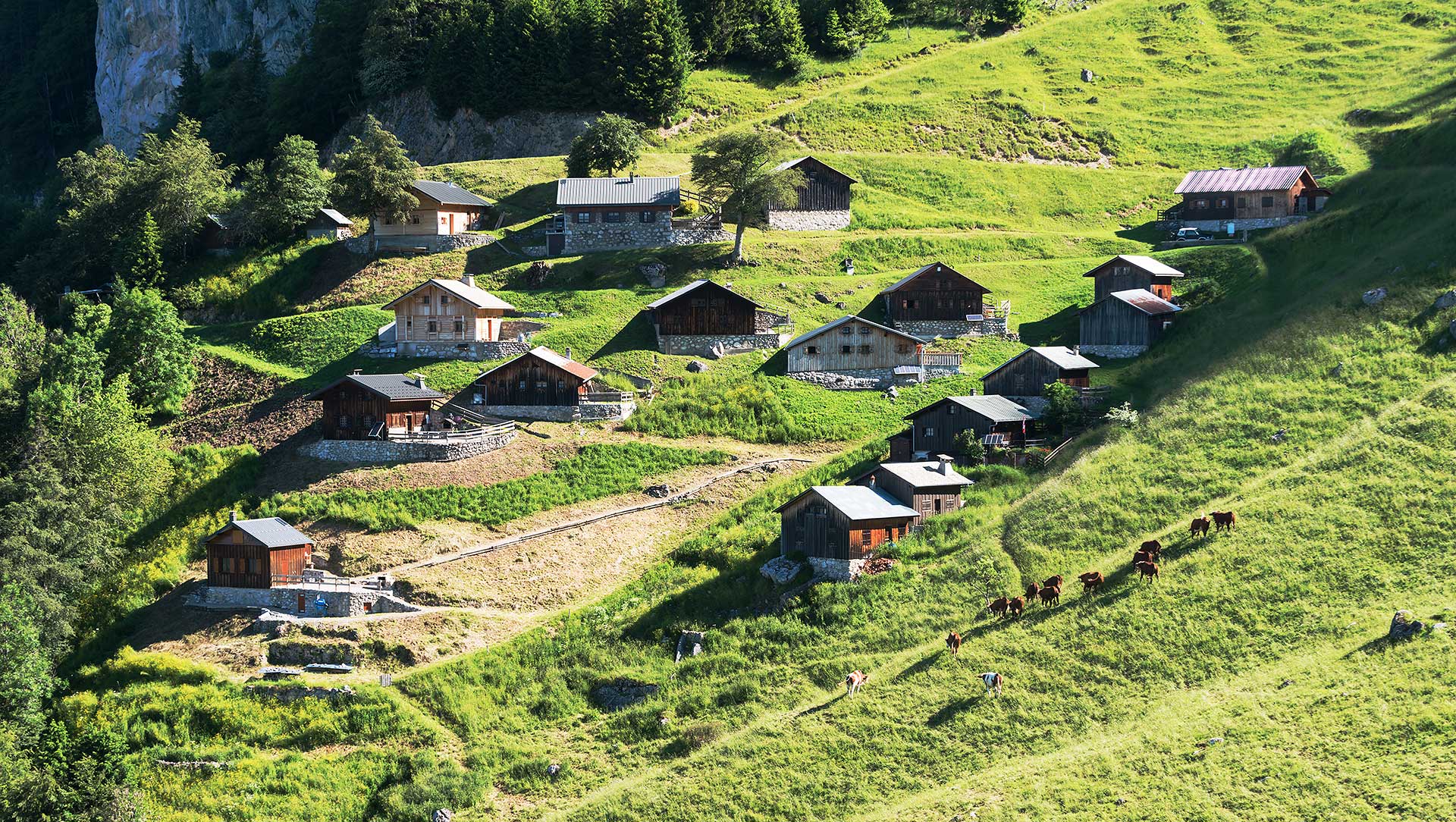 Tréchauffé Alpine Pasture