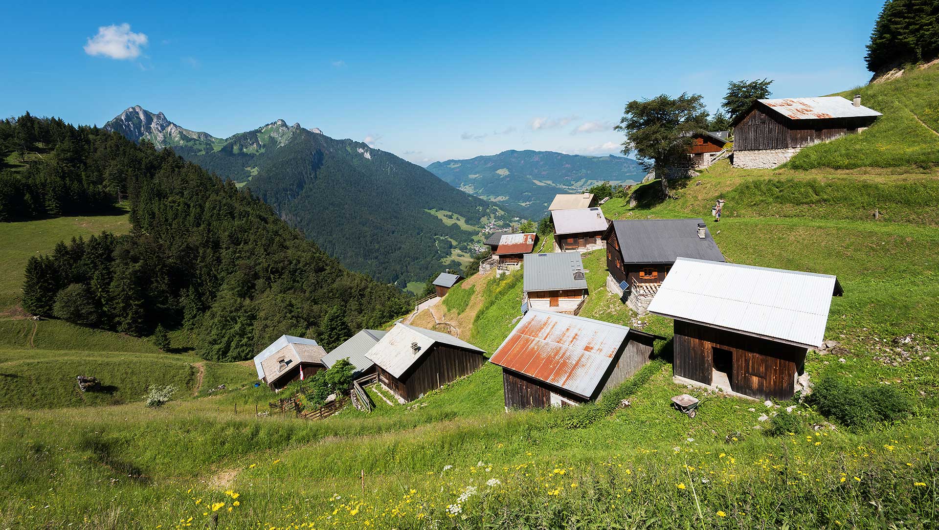 Tréchauffé Alpine Pasture an Mont Billat