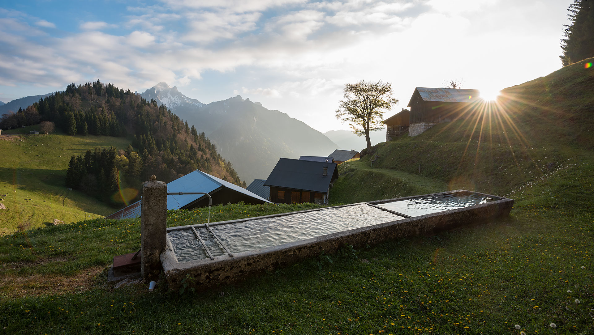 Coucher de soleil sur l'alpage de Tréchauffé