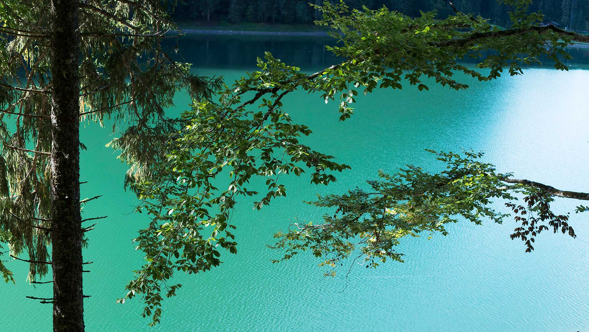 Lac de Montriond, le lac vert