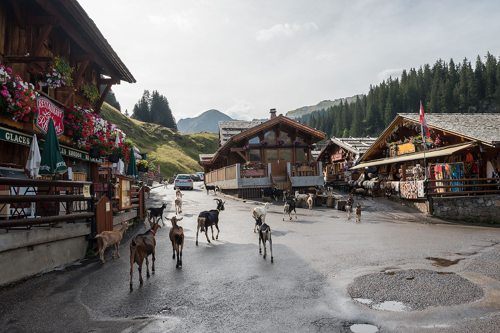 Lindarets, the goats village