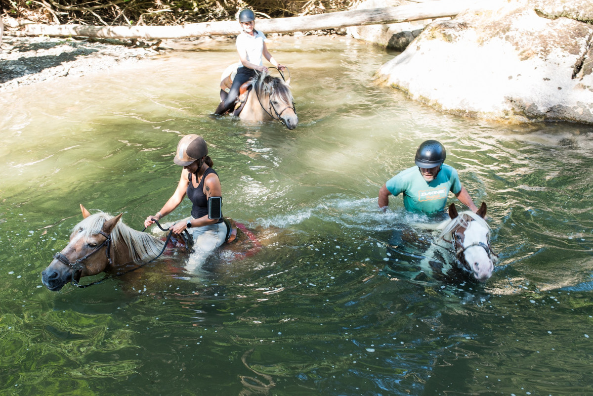 Randonnée à cheval
