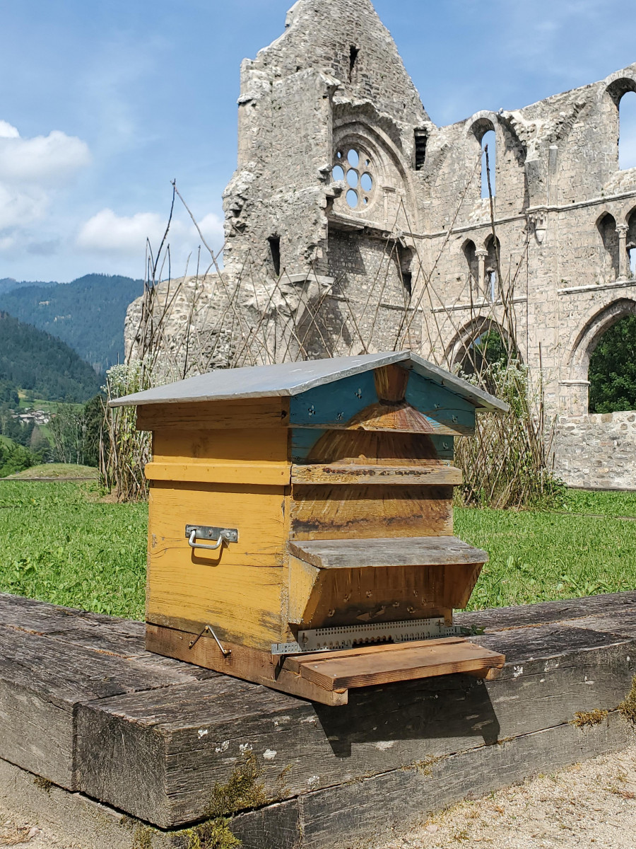 Fête du Miel et de l'Abeille