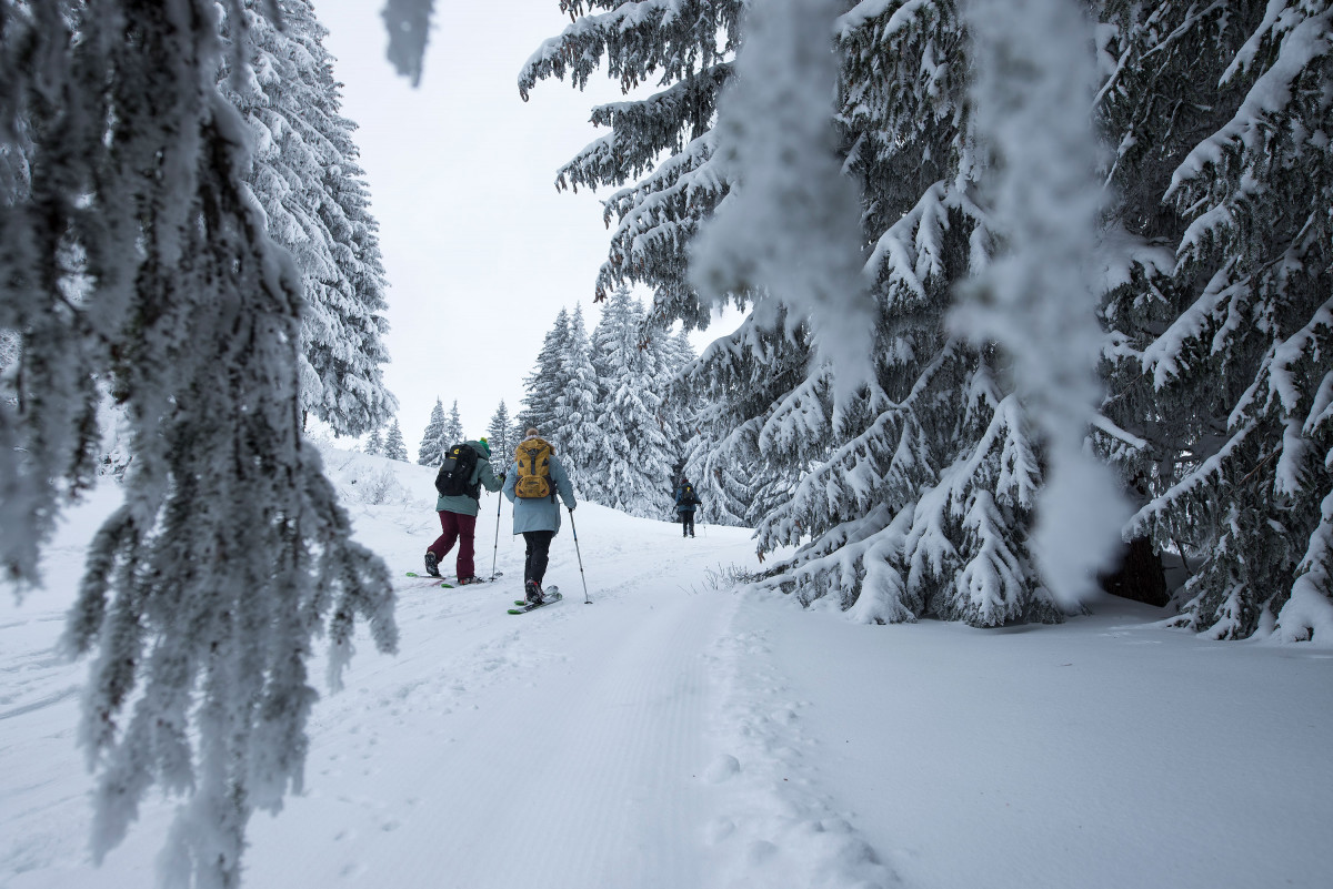 Le Snooc au Col du Corbier