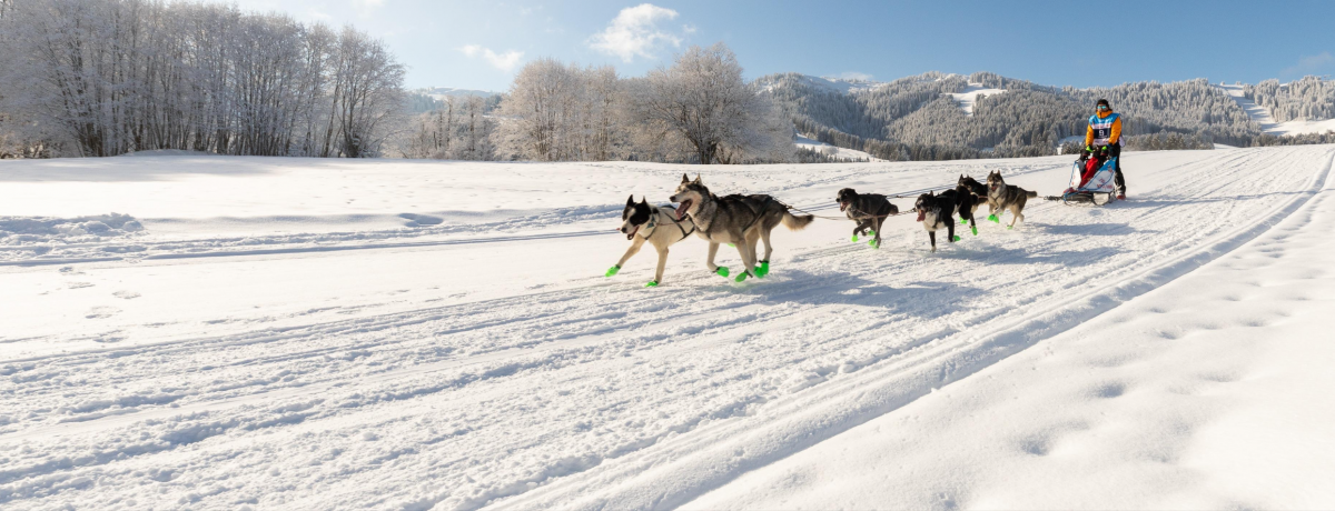 La Grande Odyssée_Avoriaz La Grande Odyssée_Avoriaz