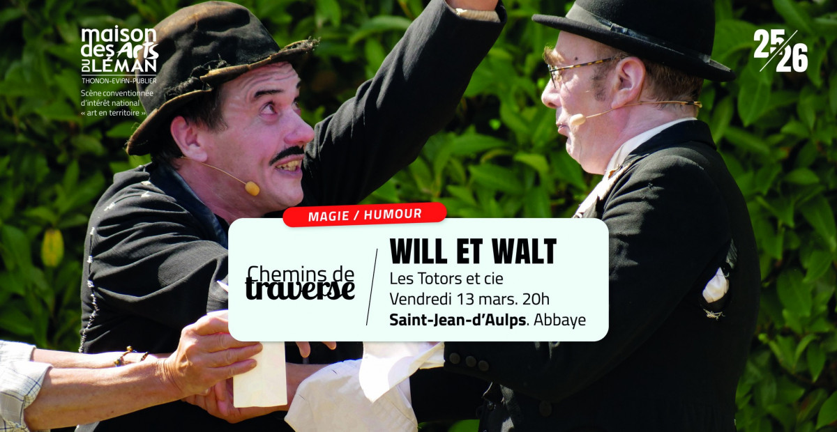 affiche Will et Walt