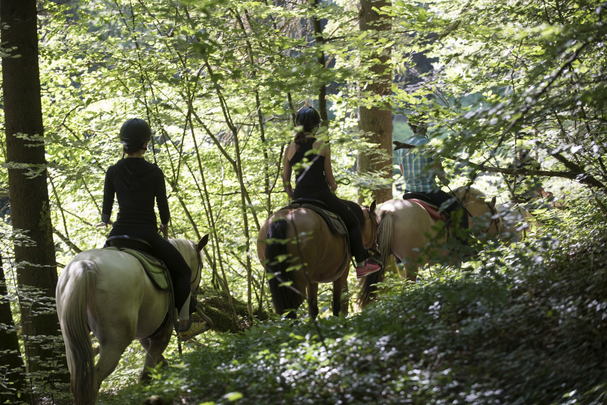Horse riding - © Yvan Tisseyre / OT Vallée d'Aulps Horse riding