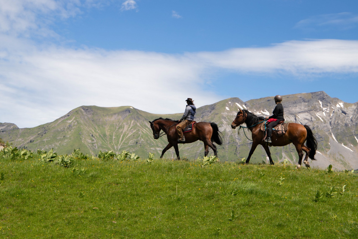 Alpes Equitation - © Alpes Equitation Alpes Equitation
