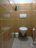 1200x900-9-toilette-suspendue-15824-45046