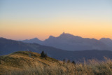 Paysage