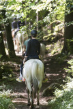 Randonnée à cheval