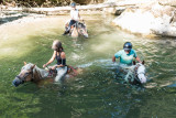 Randonnée à cheval