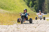 Mountain kart