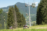 Mountain kart
