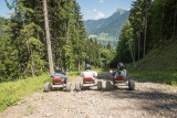 Mountain kart
