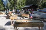 jeux bois géants