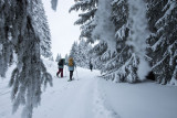 Le Snooc au Col du Corbier