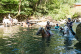 Horse riding - © Yvan Tisseyre / OT Vallée d'Aulps Horse riding