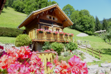 chalet-ciel-bleu-fleurs-18064