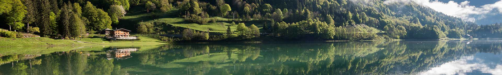 Balade à poney au Lac de Montriond