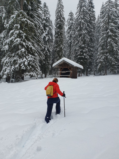 Snowshoeing outing