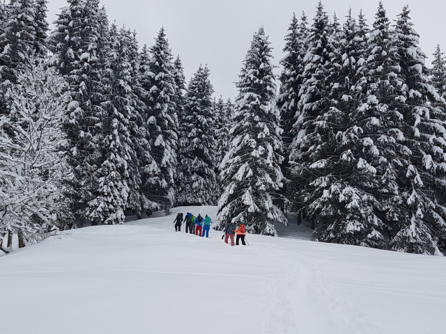 Snowshoeing outing