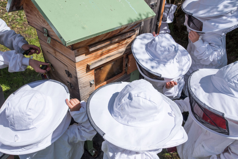 Atelier abeilles à l'abbaye d'Aulps