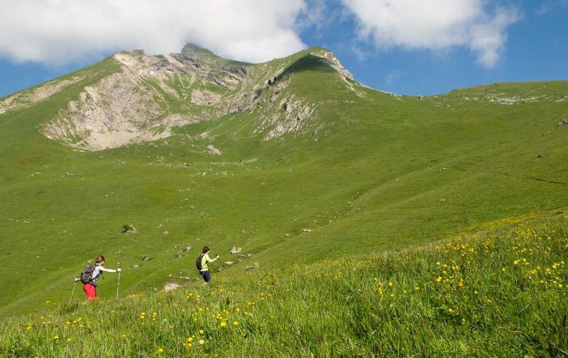 Randonnée accompagnée