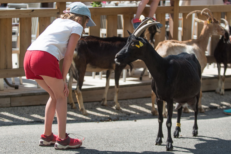 Fête de la Chèvre_Montriond