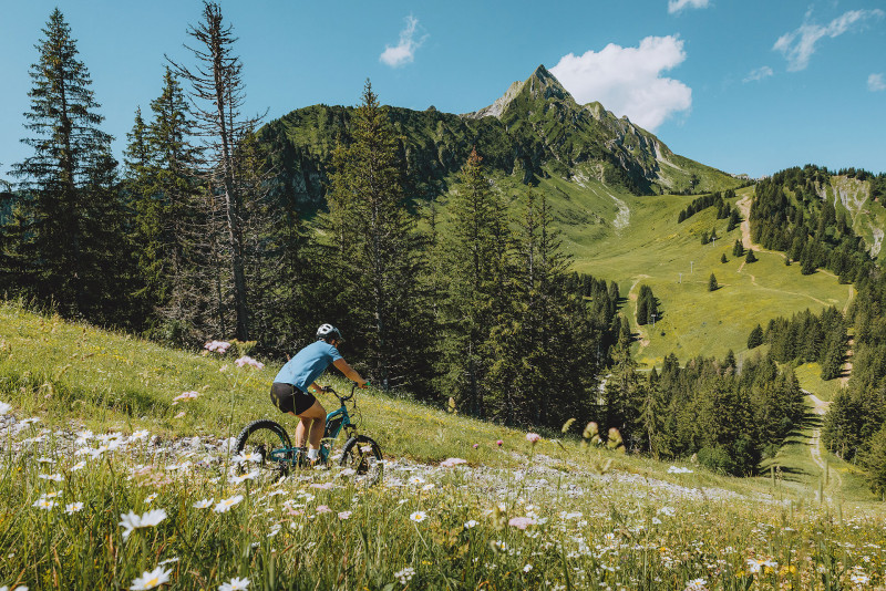 Trottinette de descente