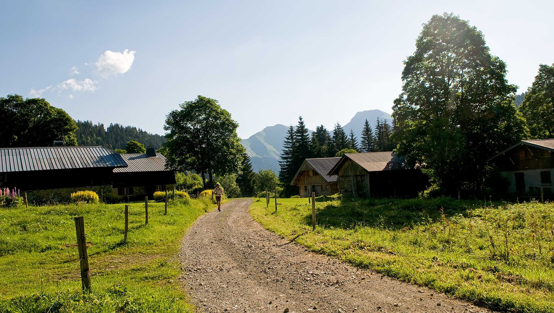 Trekking at Graydon