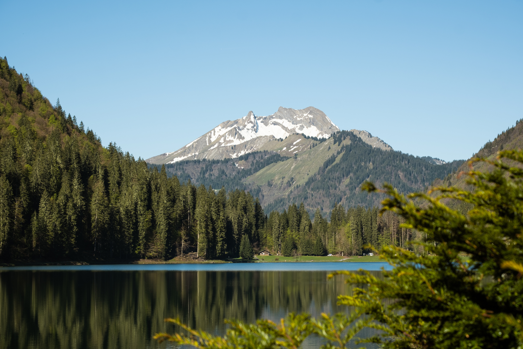 vall-e-d-aulps-tourisme-lucie-tanguy-printemps-lac-de-montriond-2-49272