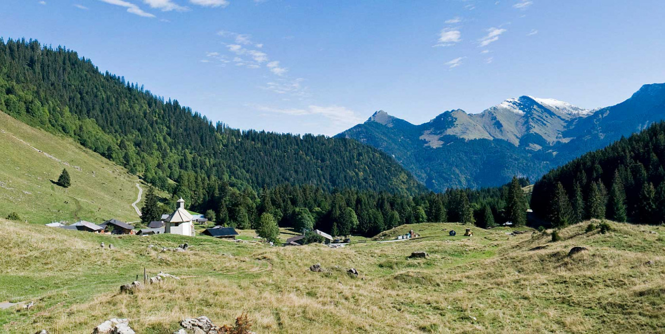 Visite virtuelle de l'alpage de Graydon