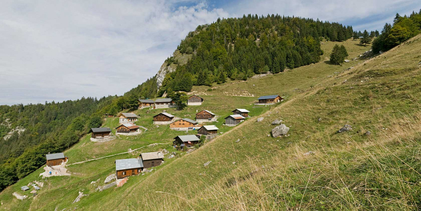 Visite virtuelle de l'Alpage de Tréchauffé